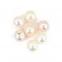 Perle D'eau Douce demi tron 7mm blanc x 10 st