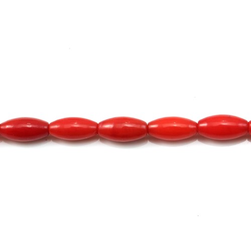 Bambou mer teinte rouge Tonnelet 3x7mm x 40cm