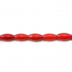 Bambou mer teinte rouge Tonnelet 3x7mm x 40cm