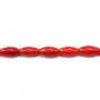 Bambou mer teinte rouge Tonnelet 3x7mm x 40cm