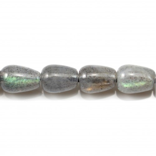 Labradorite Goutte Ronde 6x8mm x 40cm
