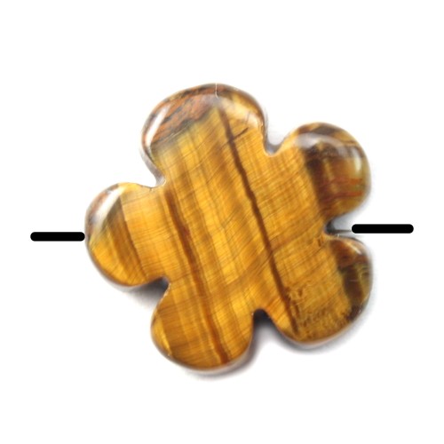  Oeil de tigre string in Flower 20mm x 2pcs