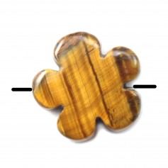 Oeil de tigre en fleur 20mm x 2pcs