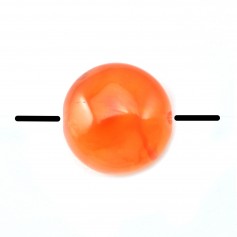 Cornaline Ronde 4mm x 20pcs