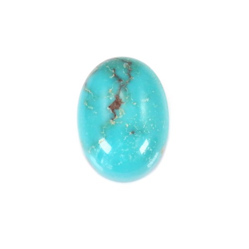 Cabochon of oval-shaped turquoise, 13 * 18mm, x 1pc