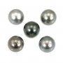Perle de culture de Tahiti de forme ronde 12-12.5mm x 1pc