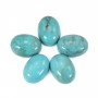 Cabochon de turquoise de forme ovale, 13x18mm x 1pc