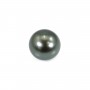 Perle de culture de Tahiti de forme ronde 13-13.5mm x 1pc