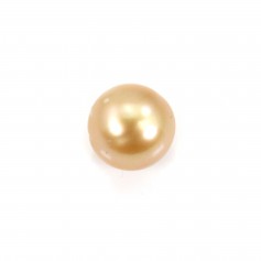 Perla dei Mari del Sud, oro, rotonda, 10-10,5 mm x 1 pz