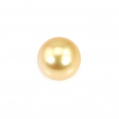 Perle des mers du Sud, dorée, semi-ronde, 11.5-12mm x 1pc