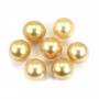Perle des mers du Sud, dorée, semi-ronde, 11.5-12mm x 1pc
