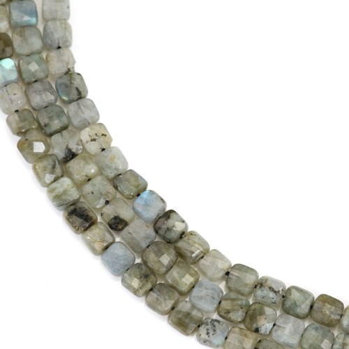 Labradorite grigia quadrata sfaccettata 6 mm x 39 cm