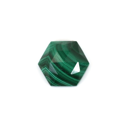 Cabochon Malachite hexagone facetté 10mm x 1pc