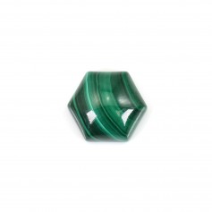 Malachite esagonale cabochon 10mm x 1pc