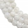 Moon Stones Round 6mm x 40cm