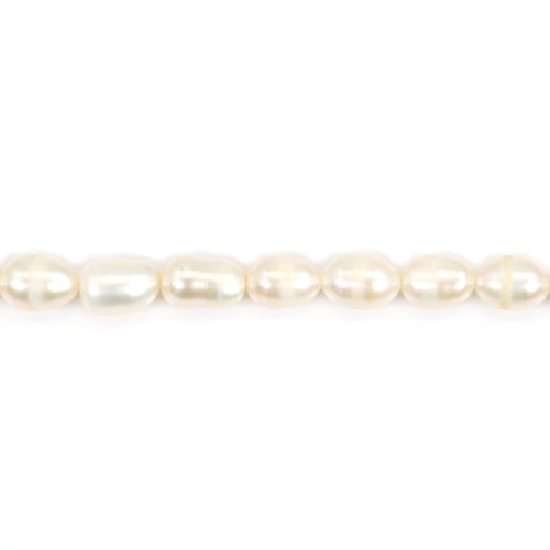 Freshwater cultured pearls, white, olive, 5-6mm x 34cm