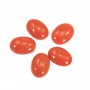 Natural Red Coral Cabochon Oval 4x6mm x 1pc