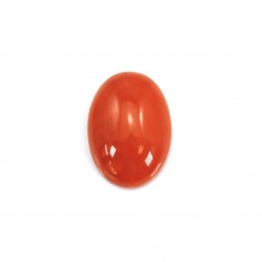 Natural Red Coral Cabochon Oval 4x6mm x 1pc