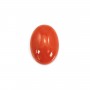 Cabochon Natural Red Coral Oval 4x6mm x 1pc