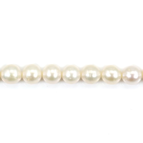 Freshwater cultured pearls, white, round, 6.5mm AK x 36cm