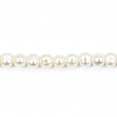 White freshwater cultured pearl, in shaped of a oval 3.5 * 5mm x 39cm
