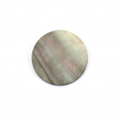 Cabochon Nacre gris rond plat 10mm x 1pc