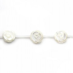 Nacre blanche Rose 15mm x 41 cm (15pcs)