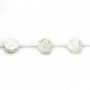 Nacre blanche Rose 15mm x 41 cm (15pcs)
