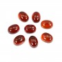 Cabochon Grenat ovale 6x8mm x 1pc