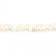 Perla cultivada de agua dulce, blanca, keshi roundel, 3,5-4mm x 41cm