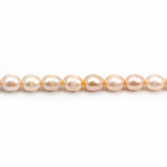 colored mordoree freshwater cultured pearl baroque 20mm x 40cm