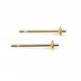 Clou d'oreilles pour semi percée coupelle 3mm - Acier Inox 304 doré x 4pcs