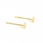 Clou d'oreilles disque 4mm - Acier Inox 304 doré x 4pcs
