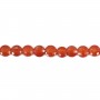 Agate rouge rond plat facetté 4mm x 40cm