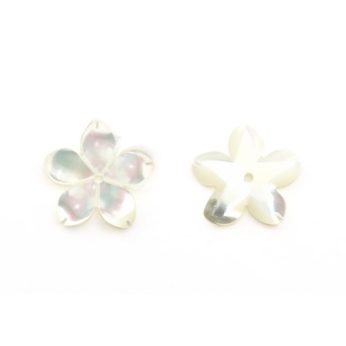 Nacre Blanc Fleur 5 Feuilles Y 12mm x 1pc