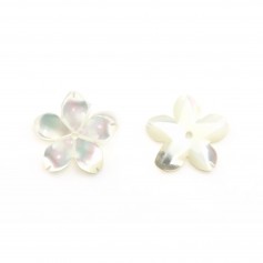 Nacre Blanc Fleur 5 Feuilles Y 12mm x 1pc