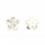 Nacre Blanc Fleur 5 Feuilles Y 12mm x 1pc