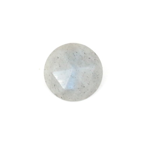 Cabochon Labradorite rond facetté 10mm x 1pc