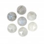 Cabochon Labradorite rond facetté 10mm x 1pc