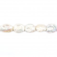 Pérola cultivada de água doce, branca, keshi, 15-17mm x 40cm