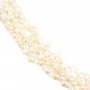 Perle de culture d'eau douce, blanche, baroque, 6-6.5mm x 36cm