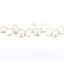 Perle de culture d'eau douce, blanche, baroque, 6-6.5mm x 36cm