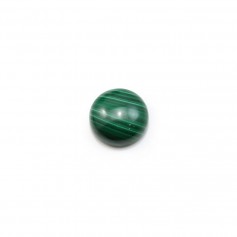 Cabochon malachite rond 4mm  x 1pc