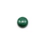 Cabochon malachite rond 4mm  x 1pc
