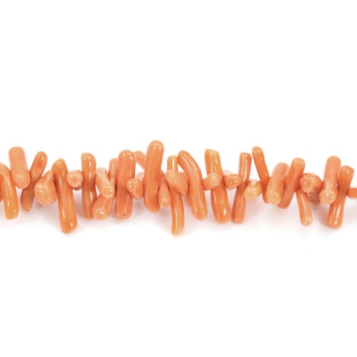 Corail orange Naturel baroque tube x 50cm
