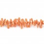 Corail orange Naturel baroque tube x 50cm
