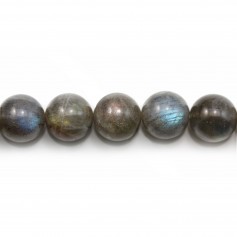 Labradorite Ronde 10mm x 40cm