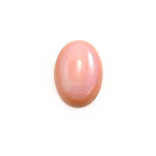 Cabochon Lambi ovale 8x10mm x 1pc