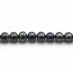Dark blue round freshwater pearls on thread 6-7mm x 40cm