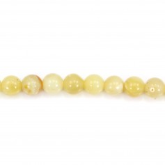 Opale de couleur jaune, de forme ronde, 8mm x 4pcs